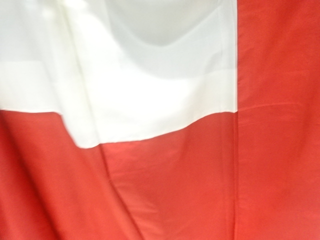  花古典柄織り出し本場泥大島紬着物